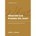 What Did God Promise the Jews?: The Problem of Israel, Palestine, and the Church