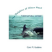 Dolphins of Hilton Head: Their Natural History