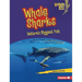 Whale Sharks: Nature's Biggest Fish