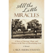 All the Little Miracles: A Story of Survival, Hope, and Victory in the Face of Devastating Loss a Memoir