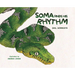 Soma Finds His Rhythm