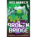 The Broken Bridge: A Succulent Sleuth Cozy Mystery