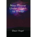 New Moons Under Which to Sleep