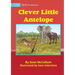 Clever Little Antelope