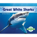 Great White Sharks