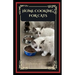 Home cooking for cats: guide to healthy homemade meal to feed your cat