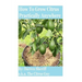 How To Grow Citrus Practically Anywhere