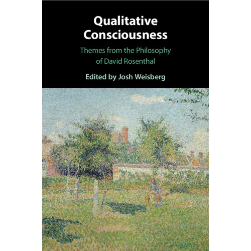 Qualitative Consciousness - Paperback