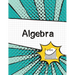 Algebra Graph Paper Notebook: (Large, 8.5"x11") 100 Pages, 4 Squares per Inch, Math Graph Paper Composition Notebook for Students