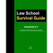 Property: Outlines and Case Summaries
