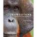 Orangutans: Their History, Natural History and Conservation