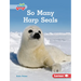 So Many Harp Seals