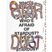 Who's Afraid of Stardust? Positions of Contemporary Queer Art