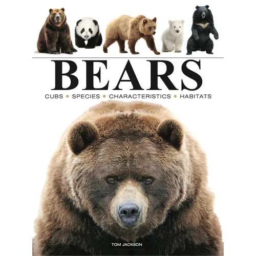 Bears