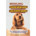 Bringing Your New Dog Or Puppy Home: First Time Dog Owner Instruction All Pet Parents Should Know: What Kind Of Food Your Dogs Are Into