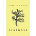 Aiaigasa