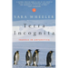 Terra Incognita: Travels in Antarctica