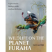 Wildlife on the Planet Furaha: A Speculative Biology Guide to Alien Life Forms