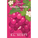 Small Town Frenzy: Special Edition