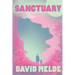 Sanctuary: The Go David Chronicles Book Two