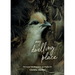 My Dwelling Place: Personal Meditations on Psalm 91