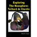 Exploring the Noosphere: Teilhard de Chardin