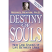 Destiny of Souls: New Case Studies of Life Between Lives