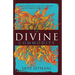 The Divine Commodity: Discovering a Faith Beyond Consumer Christianity