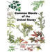 Common Weeds of the United States