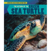The Return of the Green Sea Turtle