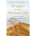Struggles in the Spiritual Life: Their Nature and Their Remedies