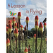 A Lesson in Flying