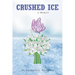 Crushed Ice: A Memoir