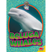Beluga Whales