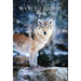 Wolftamer