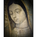 Vida de la Virgen (2): Según María Jesús de Ágreda en la Mística Ciudad de Dios