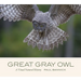 Great Gray Owl: A Visual Natural History