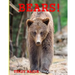 Bears: Childrens Book About Bears -Learn about Bears Behaviour and enjoy Many Great Pictures