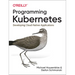 Programming Kubernetes: Developing Cloud-Native Applications