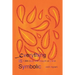 Everything Is Symbolic: 366 Days, One Thought at a Time