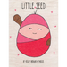 Little Seed