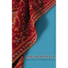 Playing with Fire: Feminist Thought and Activism Through Seven Lives in India