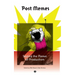 Post Memes: Seizing the Memes of Production