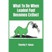 What To Do When Leaded Fuel Becomes Extinct