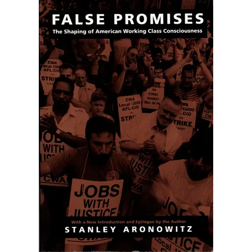 False Promises: The Shaping of American Working Class Consciousness
