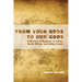 From Your Gods to Our Gods: A History of Religion in Indian, South African, and British Courts