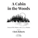 A Cabin In The Woods: Poems of Wit, Whimsy, and (sometimes) Wisdom