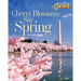 Cherry Blossoms Say Spring