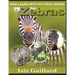 Zebras: Photos and Fun Facts for Kids