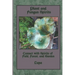 Plant and Fungus Spirits: Connect With Spirits of Field, Forest and Garden